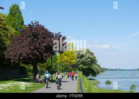 Deutschland, Bonn, Bad Godesberg-Mehlem, John-Jay-McCloy-Ufer Foto Stock