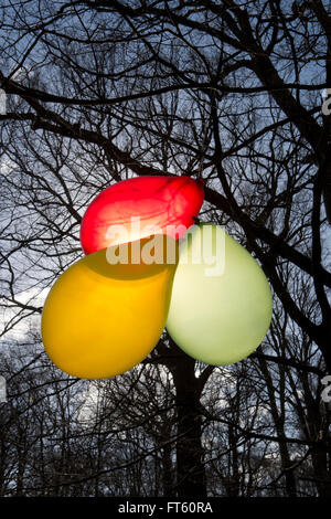 Palloncini pendono dai rami di un albero nel bosco in verticale. Foto Stock