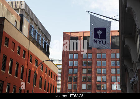 La New York University edifici con il viola NYU Bandierina logo appendere fuori l'ingresso Foto Stock