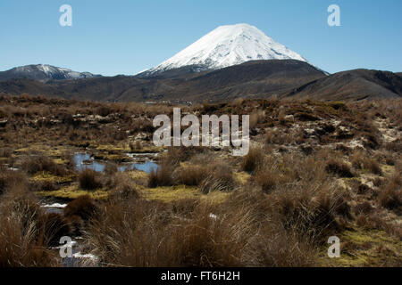 Imponente Ngauruhoe stratovulcano è il più giovane dei vulcani attivi nel Parco Nazionale di Tongariro in Nuova Zelanda. Foto Stock