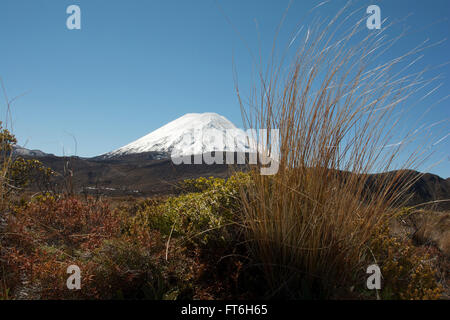 Imponente Ngauruhoe stratovulcano è il più giovane dei vulcani attivi nel Parco Nazionale di Tongariro in Nuova Zelanda. Foto Stock