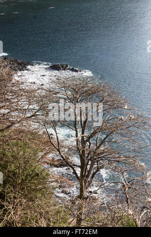 Sancho spiaggia di Fernando de Noronha Island Foto Stock