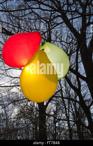 Un grappolo di palloncini pendono dai rami di un albero nel bosco. Foto Stock