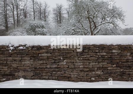 Alberi coperti di uno spesso strato di neve durante l'inverno nel Regno Unito. Foto Stock