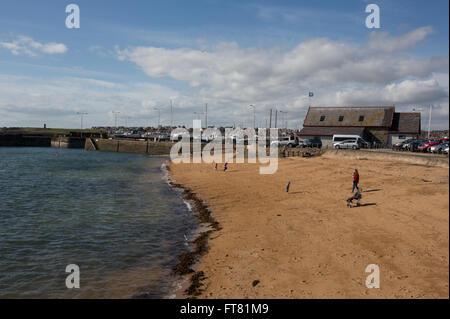 Il villaggio di pescatori di Anstruther in East Neuk di Fife, Scozia, Gran Bretagna. Foto Stock