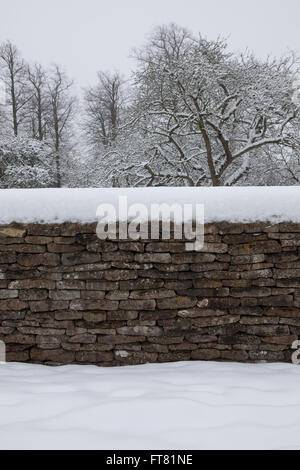 Alberi coperti di uno spesso strato di neve durante l'inverno nel Regno Unito. Foto Stock