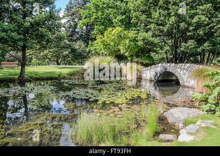 Ponte in Queenstown Gardens, Otago, Isola del Sud, Nuova Zelanda Foto Stock