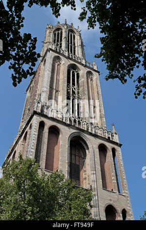 Domtoren (la Torre del Duomo) in Utrecht, Paesi Bassi. Foto Stock