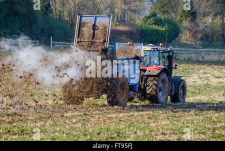 Trattore con rimorchio spargimento delle deiezioni animali su fiied in primavera prima di aratura. Il concime agisce come un fertilizzante naturale. Regno Unito Foto Stock