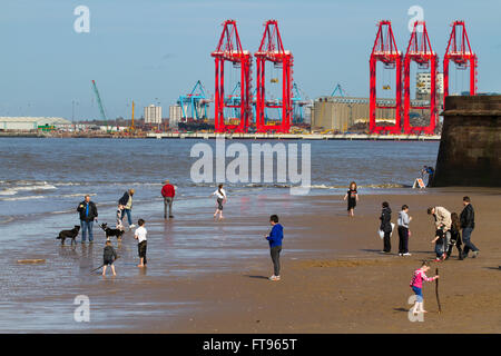 New Brighton, Wallasey. Xxv Marzo 2016. Regno Unito Meteo. Vacanzieri godere il sole primaverile sulla spiaggia di fronte a Fort Pesce persico Faro. La Gran Bretagna è sempre più appassionato della cosiddetta staycations, con viaggiatori sempre più disposti a prendere un breve viaggio su queste coste invece di avventurarsi all'estero. Eventi in Europa ora può influenzare tali cittadini britannici che hanno le loro vacanze nei mesi di luglio e agosto il mese più popolari per le vacanze. Foto Stock