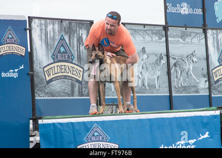 Fernandina Beach, Stati Uniti d'America. 25 marzo, 2016. Cani attraverso gli Stati Uniti competere nel grande concorrenza aria durante il Florida International Dog Surf Campionato Mondiale alla spiaggia principale su Amelia Island, Stati Uniti d'America. Credito: David giorno/Alamy Live News. Foto Stock