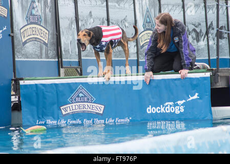 Fernandina Beach, Stati Uniti d'America. 25 marzo, 2016. Prima volta Big Air concorrente è incerto circa tenendo il tuffo durante il Florida International Dog Surf Campionato Mondiale alla spiaggia principale su Amelia Island, Stati Uniti d'America. Credito: David giorno/Alamy Live News. Foto Stock