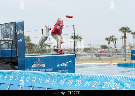 Fernandina Beach, Stati Uniti d'America. 25 marzo, 2016. Cani attraverso gli Stati Uniti competere nel grande concorrenza aria durante il Florida International Dog Surf Campionato Mondiale alla spiaggia principale su Amelia Island, Stati Uniti d'America. Credito: David giorno/Alamy Live News. Foto Stock