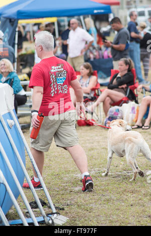 Fernandina Beach, Stati Uniti d'America. 25 marzo, 2016. Cani attraverso gli Stati Uniti competere nel grande concorrenza aria durante il Florida International Dog Surf Campionato Mondiale alla spiaggia principale su Amelia Island, Stati Uniti d'America. Credito: David giorno/Alamy Live News. Foto Stock