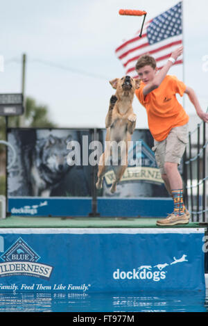 Fernandina Beach, Stati Uniti d'America. 25 marzo, 2016. Cani attraverso gli Stati Uniti competere nel grande concorrenza aria durante il Florida International Dog Surf Campionato Mondiale alla spiaggia principale su Amelia Island, Stati Uniti d'America. Credito: David giorno/Alamy Live News. Foto Stock