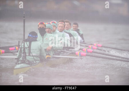 Londra, Regno Unito. 26 Mar, 2016. Il Boat Race. Il Cancer Research UK Regate 2016. Tenuto sulla Tideway, sul Fiume Tamigi tra Putney e Mortlake, Londra, Inghilterra, Regno Unito. Tideway settimana. (Pratica escursioni durante la settimana che precede le gare che si svolgono nella Domenica di Pasqua 27 marzo 2016.) Cambridge University (CUBC) Equipaggio di blu su una gita in pratica. Credito: Duncan Grove/Alamy Live News Foto Stock