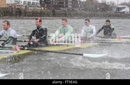 Londra, Regno Unito. 26 Mar, 2016. Il Boat Race. Il Cancer Research UK Regate 2016. Tenuto sulla Tideway, sul Fiume Tamigi tra Putney e Mortlake, Londra, Inghilterra, Regno Unito. Tideway settimana. (Pratica escursioni durante la settimana che precede le gare che si svolgono nella Domenica di Pasqua 27 marzo 2016.) Cambridge University (CUBC) Equipaggio di blu su una gita in pratica. Credito: Duncan Grove/Alamy Live News Foto Stock