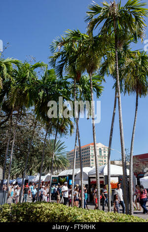 Miami Florida,Coral Gables,Carnaval Carnival Miracle Mile,Street festival,celebrazione annuale,famiglie ispaniche,venditori,stand,bancarelle,palme,FL1603 Foto Stock