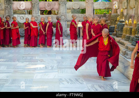 BODHIGAYA - India, 11 maggio 2014: monaci buddisti tibetani e neofiti sono in lista per preparare il buddismo rituale al di sotto di t Foto Stock