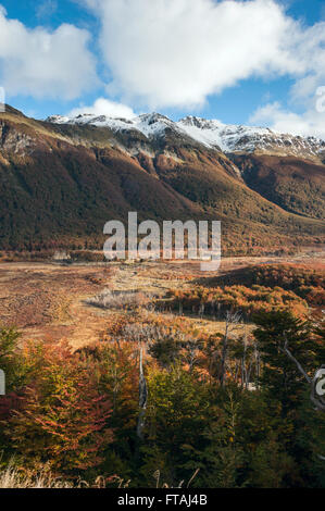 Autunno in Patagonia. Tierra del Fuego, lato Argentina Foto Stock