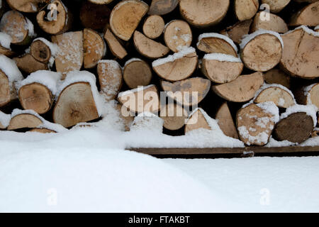 Negozio di registro nella neve. Foto Stock