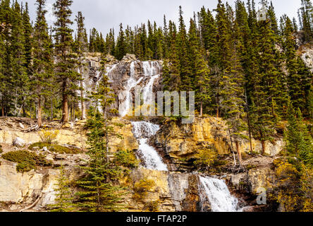 Groviglio cade a Campi di Ghiaccio Parkway nel Parco Nazionale di Jasper nelle Montagne Rocciose Canadesi in Alberta, Canada Foto Stock