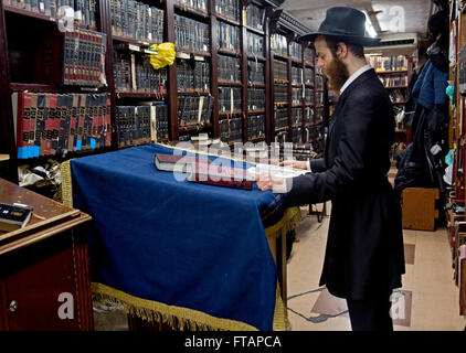 Ritratto di una religiosa ebraica uomo pregare da solo in una camera in una sinagoga in Crown Heights Brooklyn, New York Foto Stock