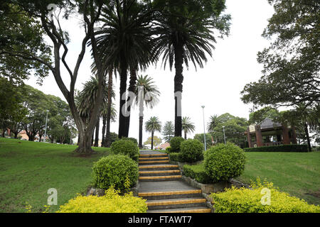 Elkington Park di Balmain, Sydney, Australia Foto Stock