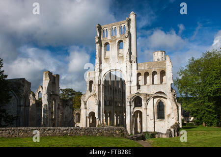 Abbazia di Jumièges rovine, Jumièges, Seine-Maritime, Normandia, Francia Foto Stock