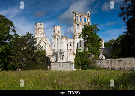 Abbazia di Jumièges rovine, Jumièges, Seine-Maritime, Normandia, Francia Foto Stock