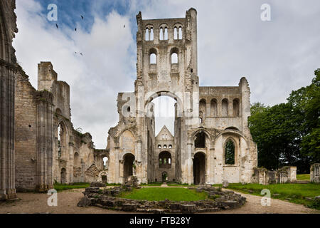 Abbazia di Jumièges rovine, Jumièges, Seine-Maritime, Normandia, Francia Foto Stock