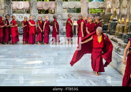 BODHIGAYA - India, 11 maggio 2014: monaci buddisti tibetani e neofiti sono in lista per preparare il buddismo rituale al di sotto di t Foto Stock