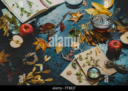 Autunno all'interno Foto Stock