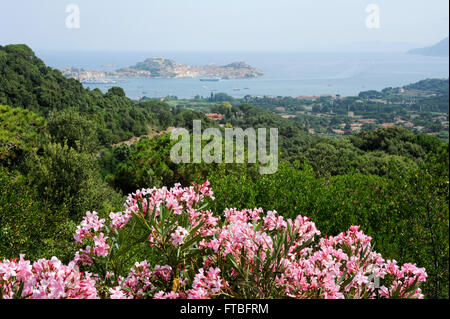 La costa di Portoferraio su Elba isalnd, Italia Foto Stock