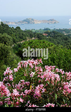 La costa di Portoferraio su Elba isalnd, Italia Foto Stock