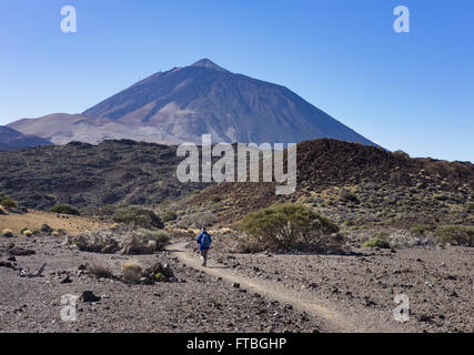 Sentiero escursionistico Ruta Arenas Negras e vulcano Teide, il Parco Nazionale del Teide, Parque Nacional de las Cañadas del Teide Tenerife Foto Stock