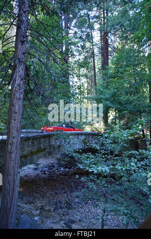 Una vista di Yosemite National Park, il Parco Nazionale di Yosemite in California, Stati Uniti d'America Foto Stock