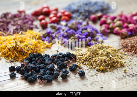 Erbe curative, tè alle erbe e assortimento di bacche sani sul tavolo di legno. La medicina di erbe. Foto Stock