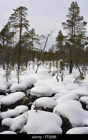 Paesaggio invernale lungo un parzialmente frozen river a Nellim, Lapponia, Finlandia Foto Stock