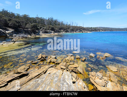 Maria Island National Park, la Tasmania, Australia Foto Stock