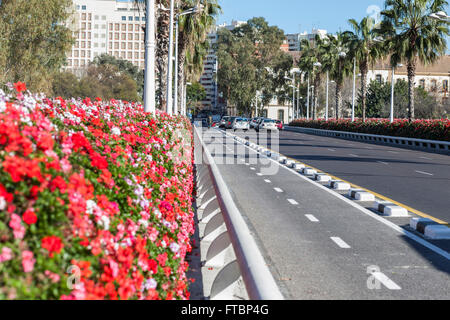 Puente de las Flores,Valencia,Spagna. Foto Stock