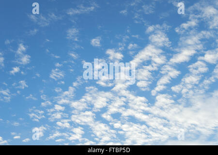 Segno di buon tempo alta Cumulus o Altocumulus nuvole nel profondo blu del cielo a molla Foto Stock