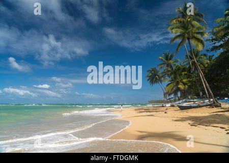 Spiaggia orlata di palme in Las Terrenas, penisola di Samana Repubblica Dominicana, Caraibi, America, Foto Stock