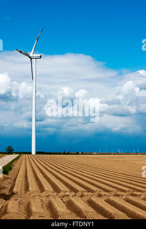 BRD, Deutschland, NRW, Rhein-Kreis Neuss, Windrad auf der Höhe Frimmersdorfer südlich von Grevenbroich Foto Stock