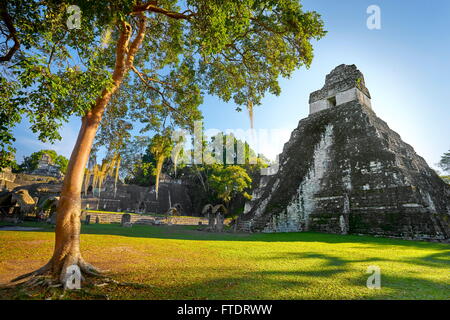 Rovine Maya - Tempio della grande Jaguar, il Parco Nazionale di Tikal, Yucatan, Guatemala, UNESCO Foto Stock