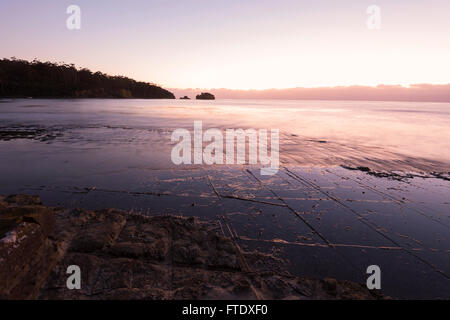 Pavimento a mosaico, Eaglehawk Neck, Penisola Tasmana, Tasmania, Australia Foto Stock