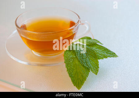 Tazza di tè alla menta. Foto Stock