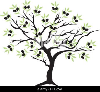 Illustrazione vettoriale di un albero di olivo Illustrazione Vettoriale