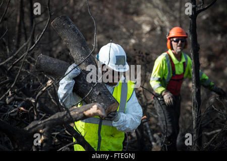 IBIZA, Spagna (ott. 6, 2014) Direttore Tecnico dei sistemi informativi aziendali Ricardo Esquilin, assegnato all'Arleigh Burke-class, guidata-missile destroyer USS Mitscher (DDG 57), aiuta a cancellare una zona colpita da un incendio di foresta in Es Cubells durante una visita porta a Ibiza, Spagna. Mitscher sta conducendo operazioni navali negli Stati Uniti Sesta flotta area di operazioni a sostegno degli Stati Uniti per gli interessi di sicurezza nazionali in Europa Foto Stock