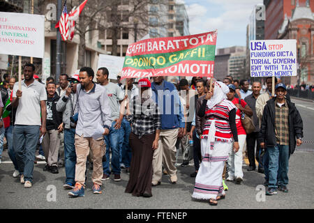 Venerdì, 11 marzo 2016, Washington DC USA: Proteste contro il governo etiope assassina guerra in Oromia, Etiopia Foto Stock